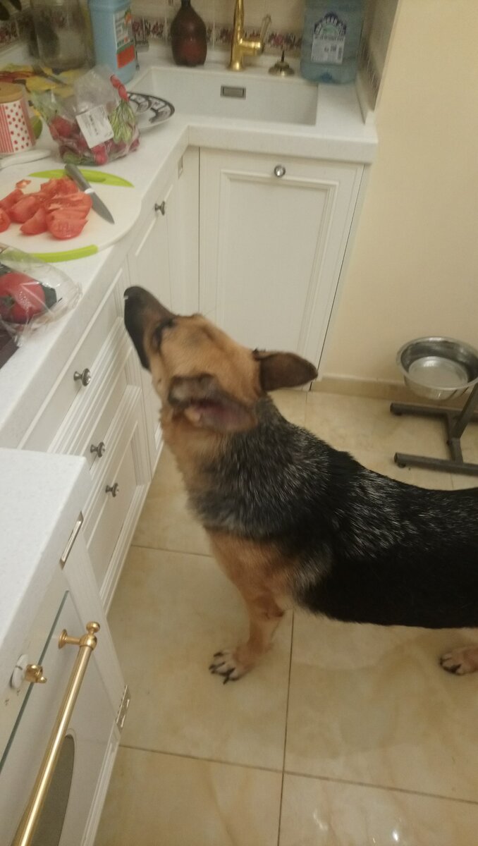 Что это они там такое едят?