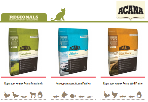 Скриншот с сайта acana.ru