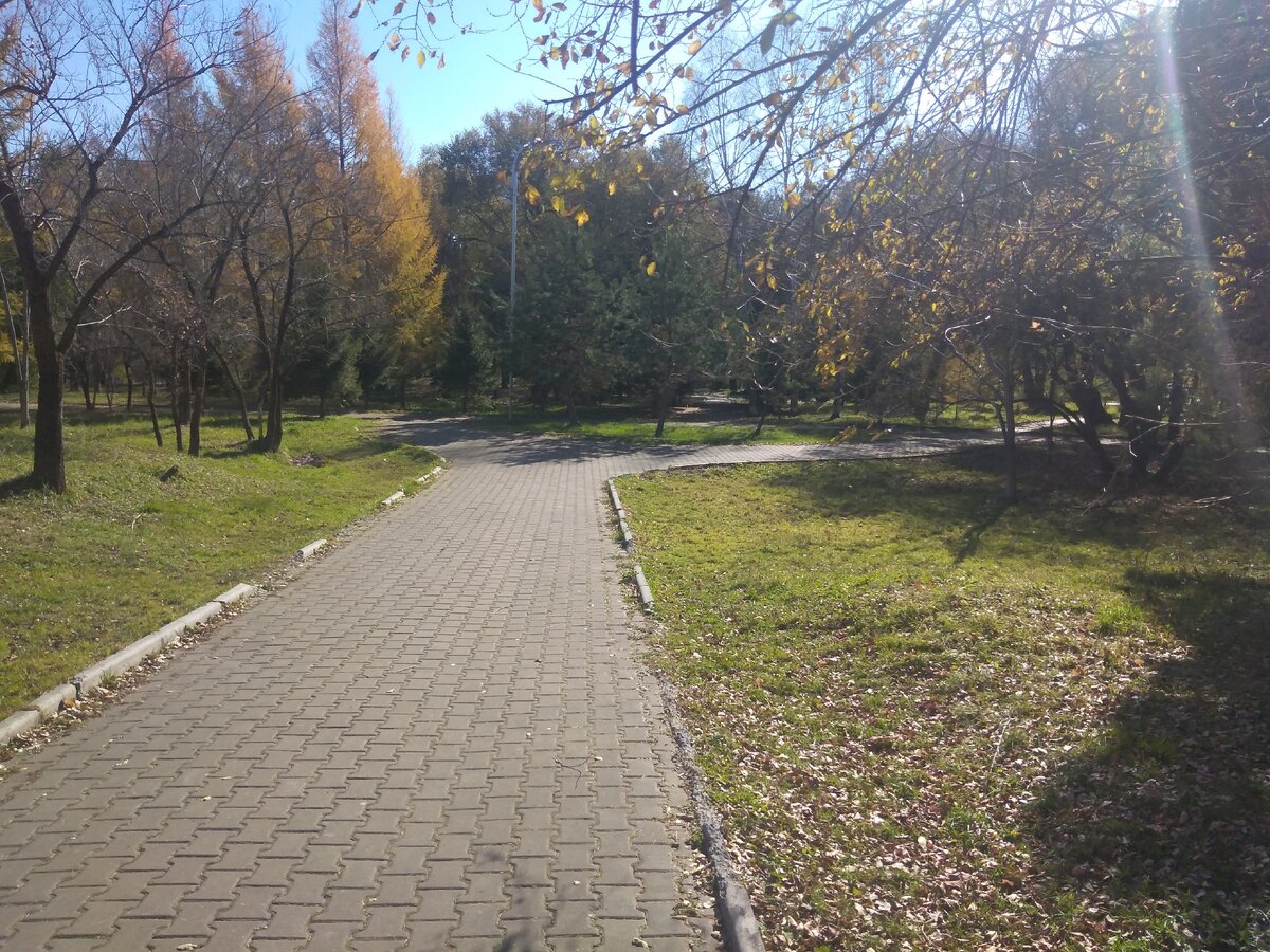 Парк "Динамо". Фото автора