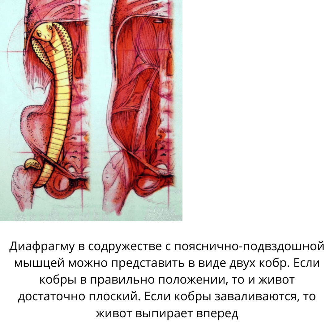 Источник изображения: Яндекс.Картинки