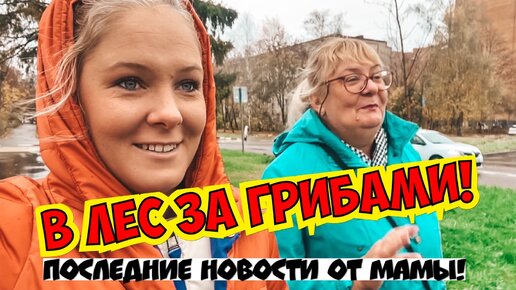 Новости от мамы! Прилетели из Турции и сразу в лес за грибами! Осень в России