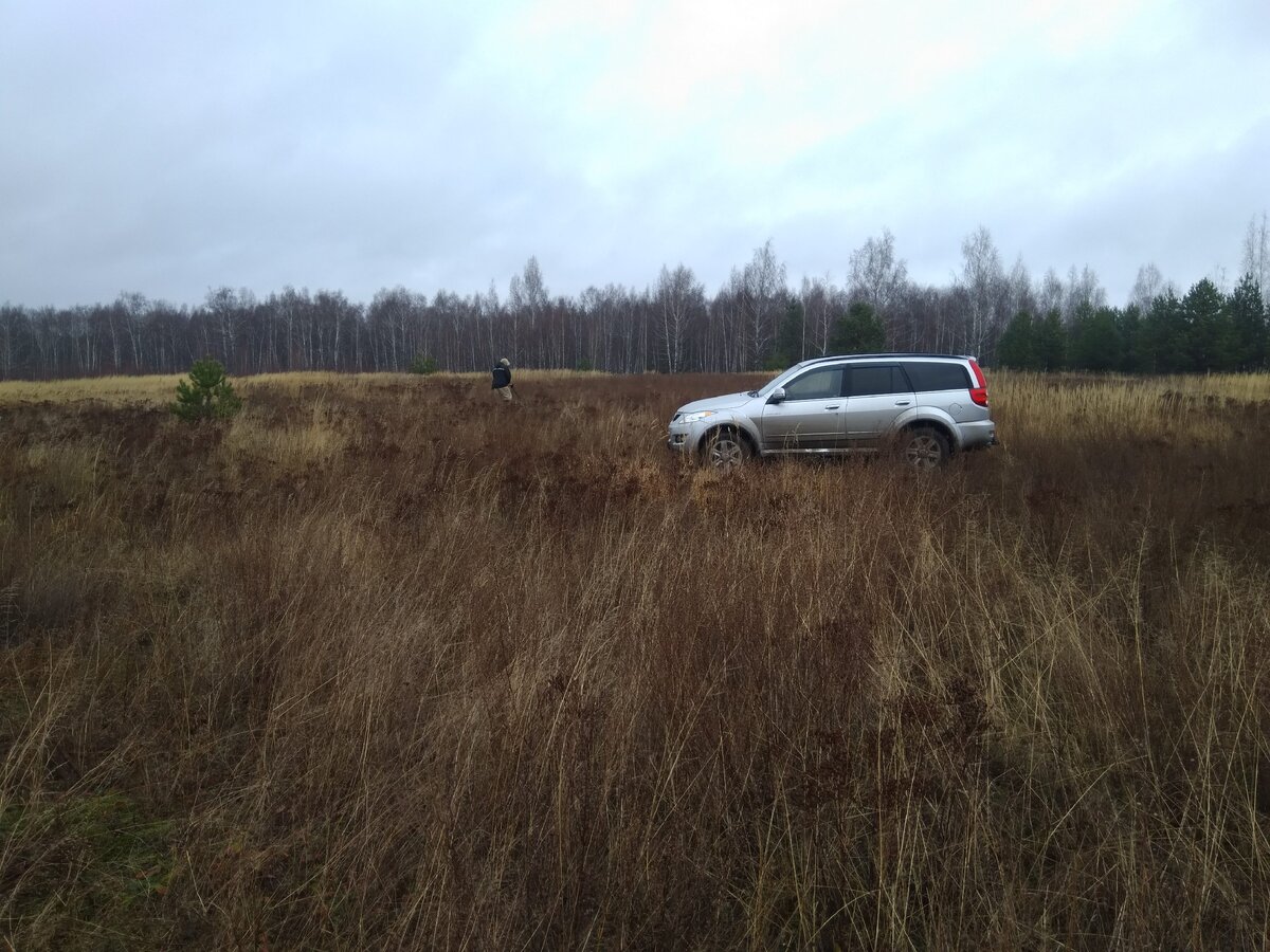 Приехали на коп