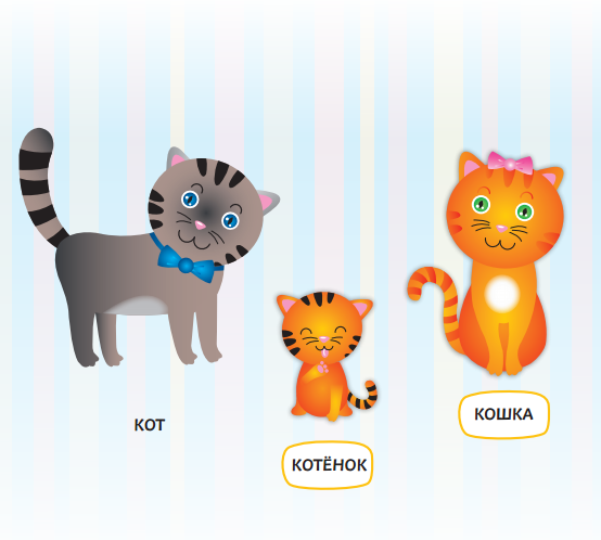 Это КОТ. Это КОШКА. А это их ребёнок - ... (?) КОТЁНОК!