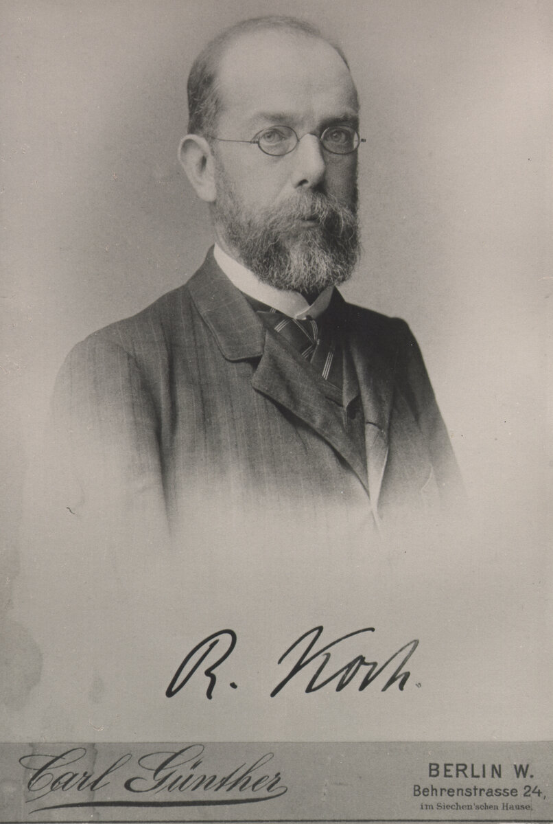 Кох в 1884