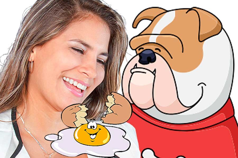 Белковая маска от бульдожьих щечек // коллаж автора