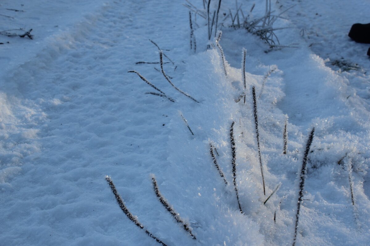 вдоль дороги