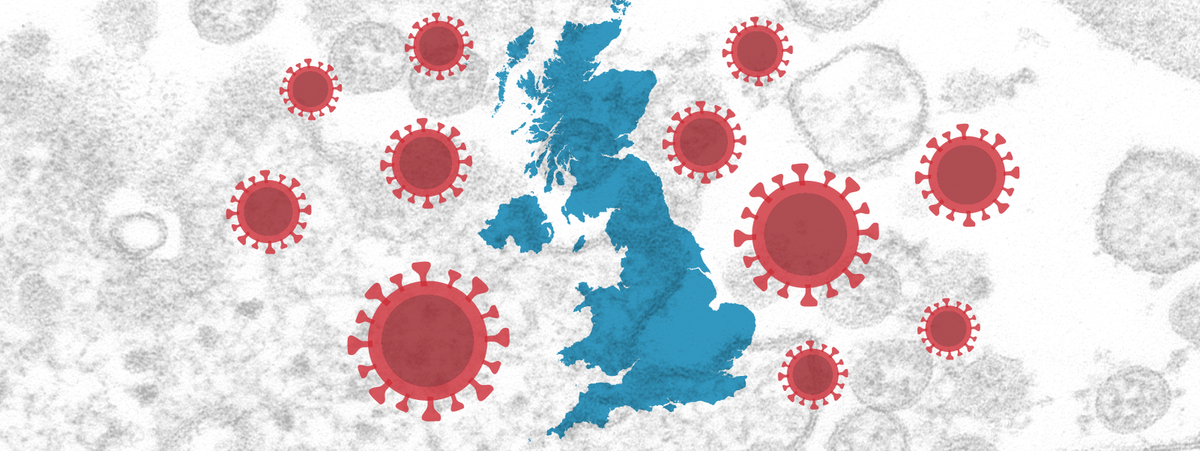 https://www.usatoday.com/in-depth/graphics/2020/12/24/new-variant-coronavirus-spreading-fast-uk/4010352001/