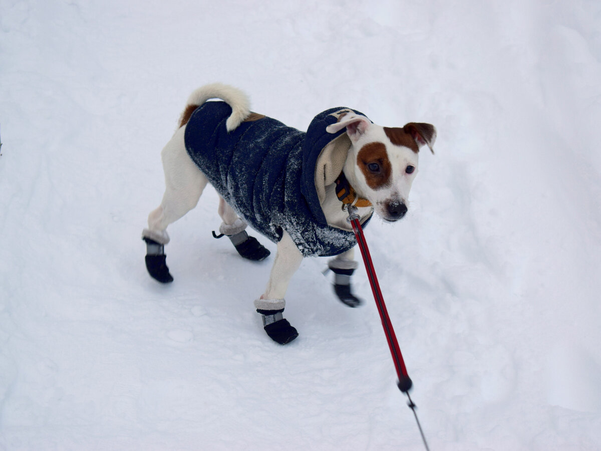 Итак, куда рванём в первую очередь?