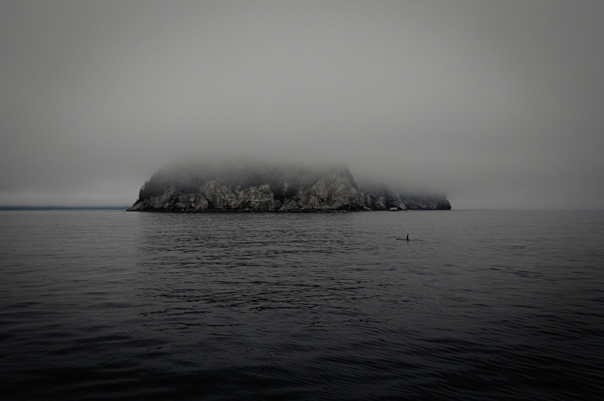 Photo by Denys Nevozhai on Unsplash