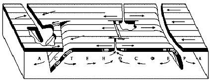 Рис. 1. Приведена блок-диаграмма Б. Изакса, Дж. Оливера и Л. Сайкса (1968), иллюстрирующая относительное движение жестких литосферных плит и конвекционных потоков в астеносфере.