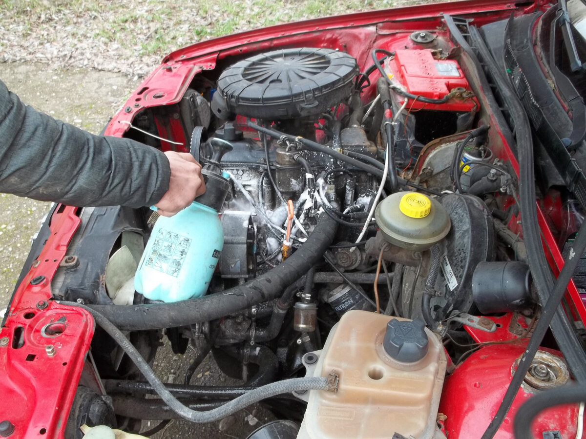 Распылителем наносим «химию»