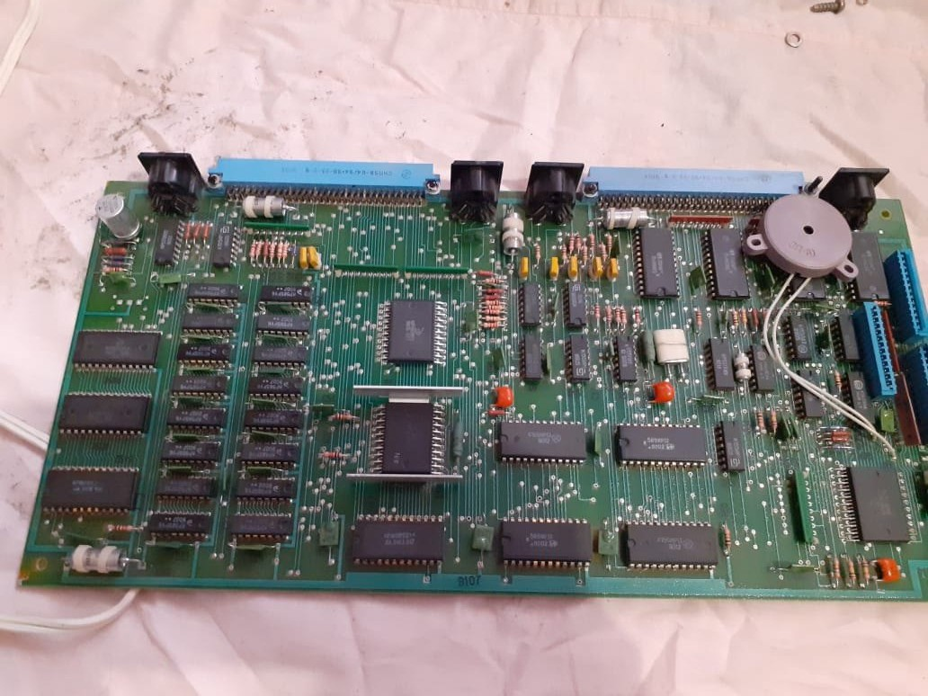 Фото автора.