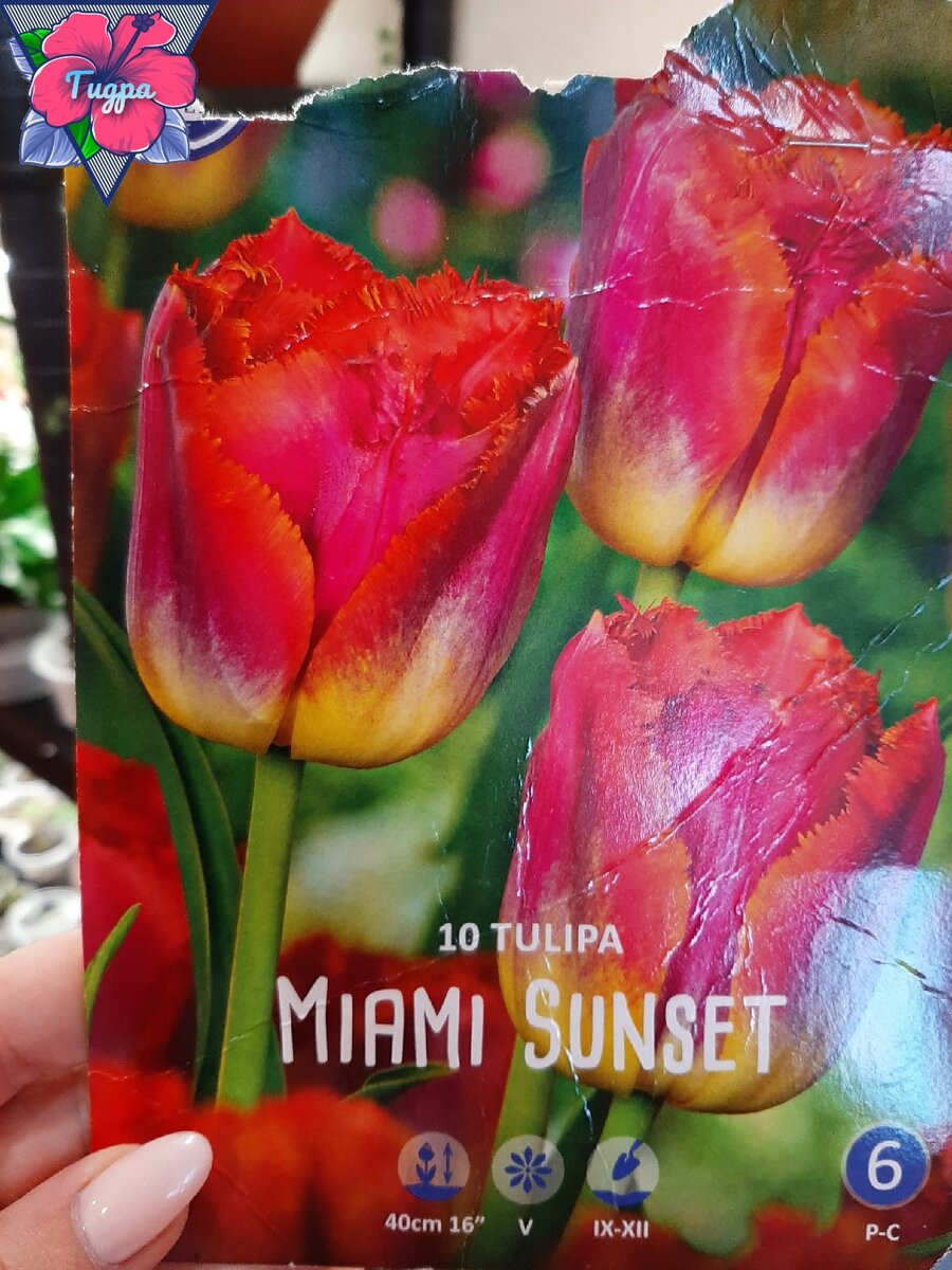 Личное фото