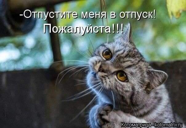фото использовано в качестве иллюстрации. Источник "Яндекс.Картинки"