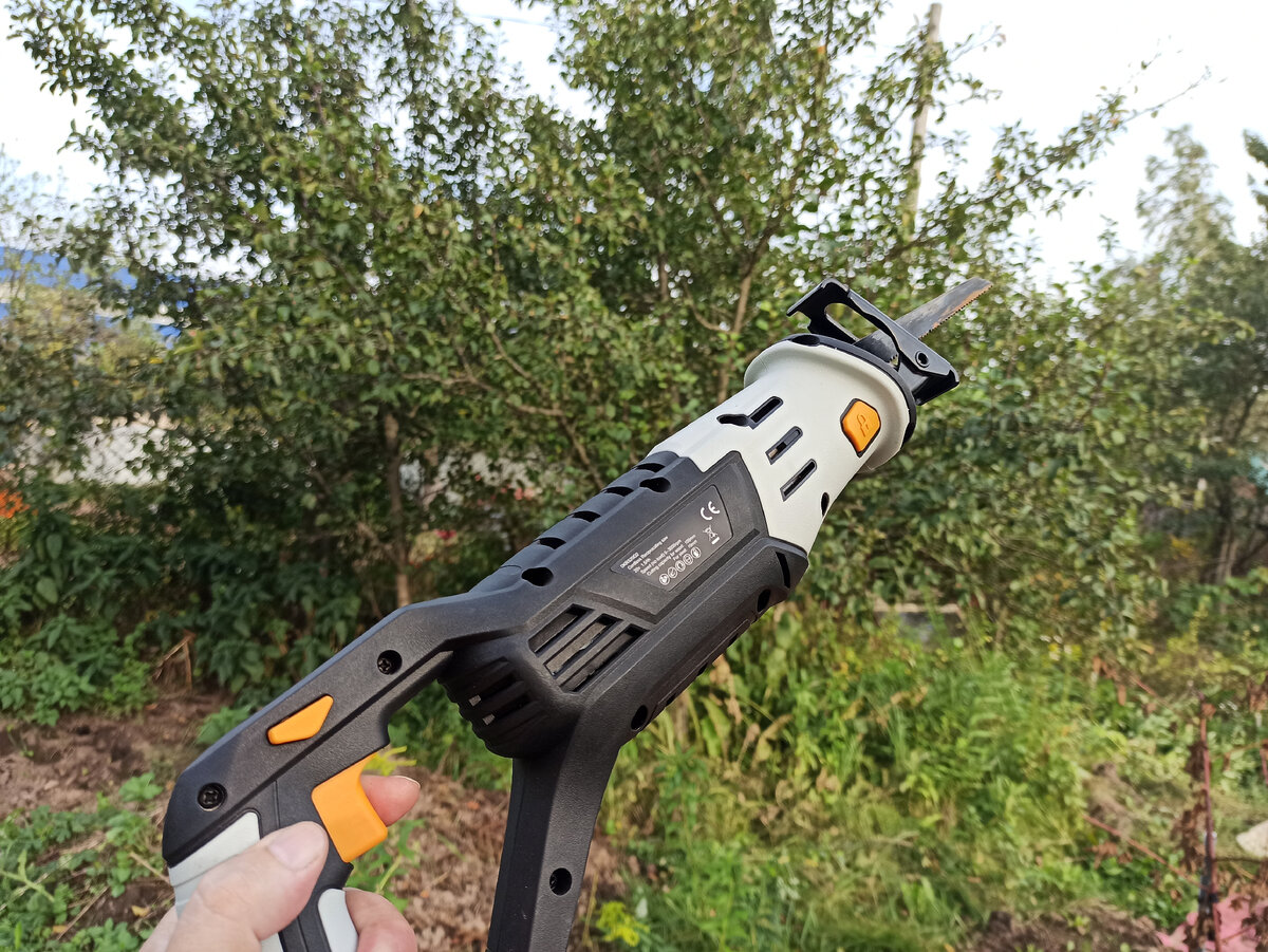 Фото автора. К обрезке слив готов