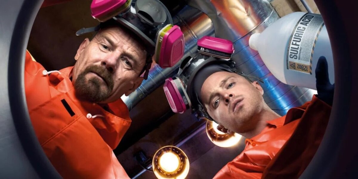 Орнитологи проверяют, как там поживают яйца в «Прияйтеле».