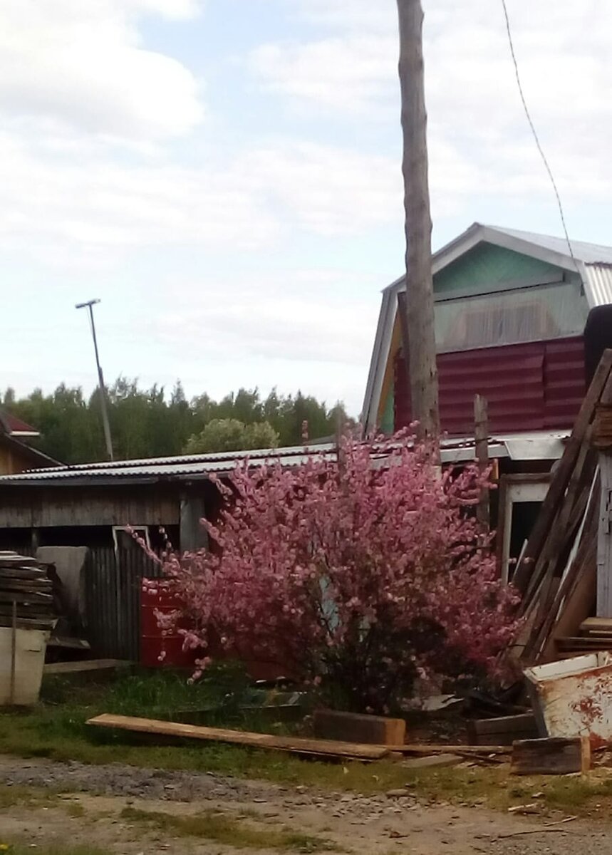 Фото из личного архива