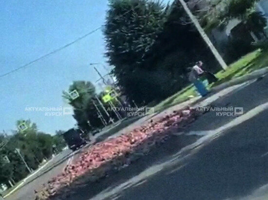     Фото телеграм-канала «Актуальный Курск»