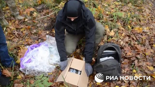 Задержание подозреваемого в подготовке теракта на транспортном терминале в Брянске. Видео © ЦОС ФСБ РФ / Telegram / РИА "Новости"
