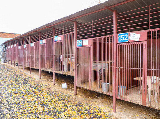     Фото: Администрация города Тулы