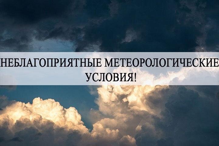 Фото: krasnodar.bezformata.com 