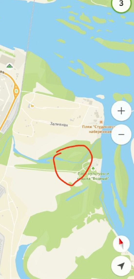     Фото: Бардокин live