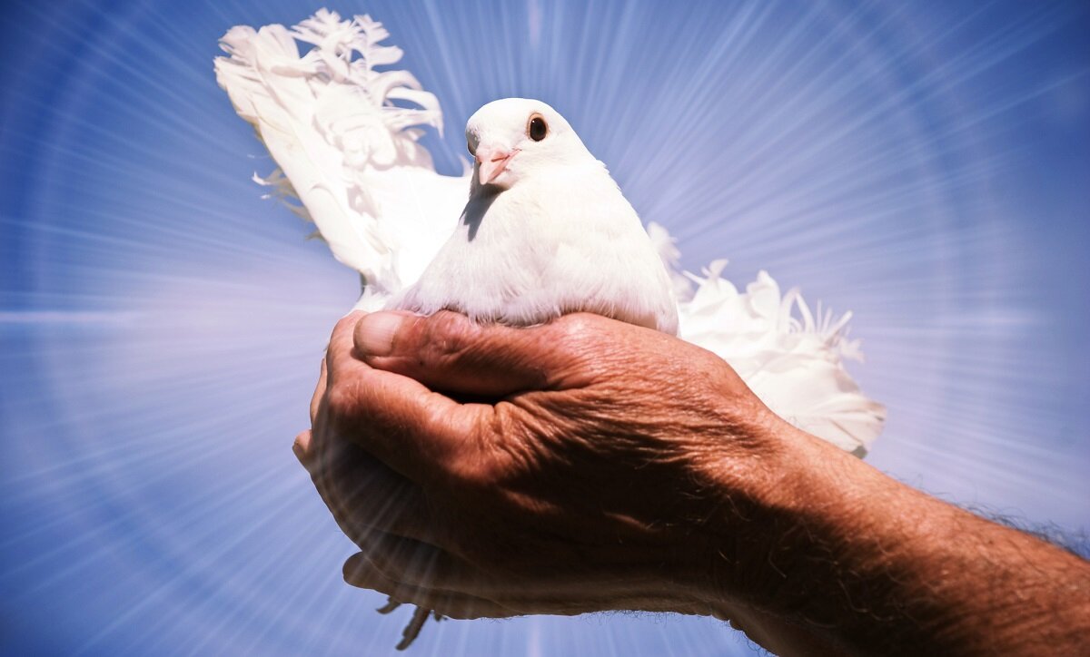 Для того чтобы наиболее чётко и ясно передать человеку Свои вечные истины, Бог использует самые разные методы. Напоминания о них мы можем видеть буквально повсюду.-3