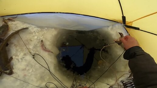 Зимняя рыбалка 2021-2022. Перемет на налима. Не диалоги о рыбалке 2024 последнее видео. Зимняя ловля налима. Перемет рыболовный.