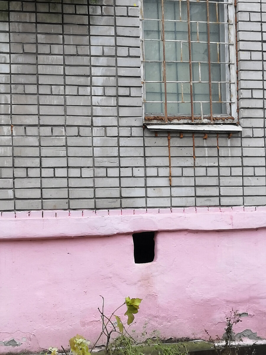 Окошко очень удобное для котов: можно свободно пролезть в подвал или просто посидеть, на мир поглазеть. 