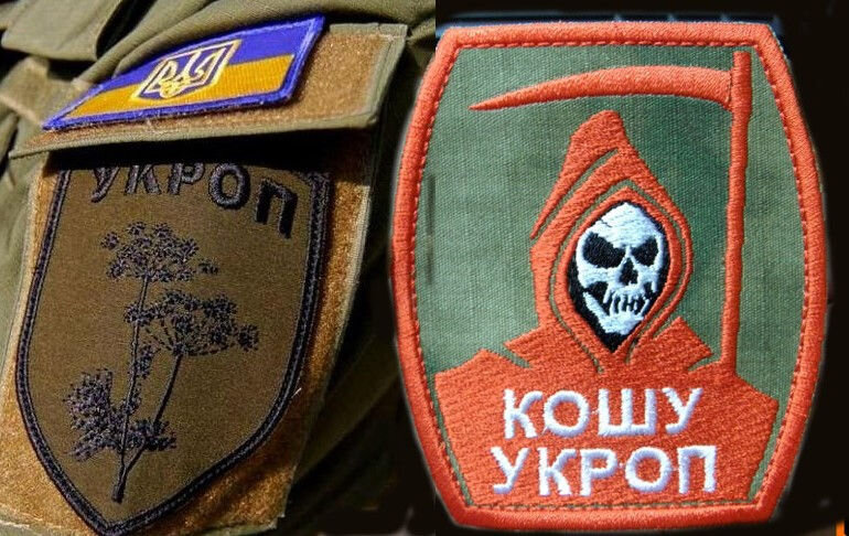 Украинский шеврон «Укроп» и шеврон ополченцев Донбасса «Кошу укроп»