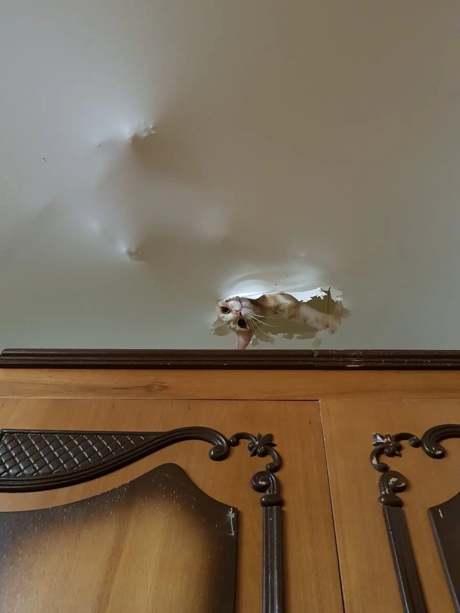 Посмеялся сам - поделись с другом!!!