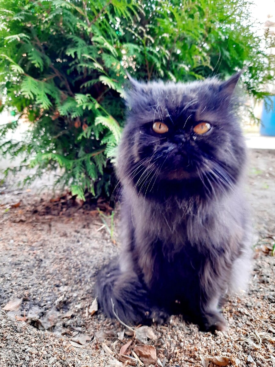 Фото автора Ксюша 