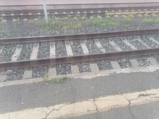     Архив "МК в Оренбурге"