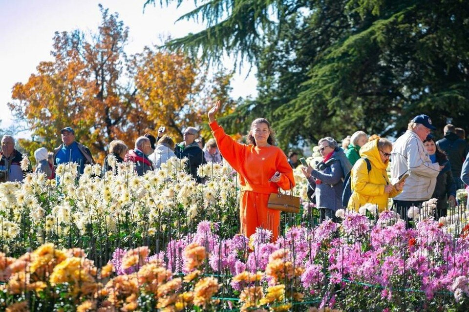     Нужно проголосовать за самый красивый цветок. Фото: Анна Корнилова/Никитский ботанический сад (НБС-ННЦ РАН)/VK