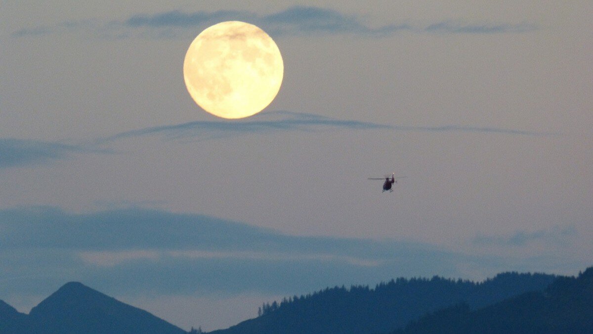 Фото: pxhere.com