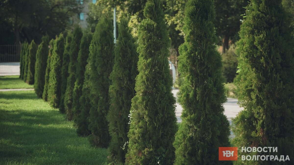     В Ворошиловском районе Волгограда скоро появится новый парк со спуском к Волге. В настоящее время специалисты центра «ВЯЗ» заняты функциональным зонированием территории.