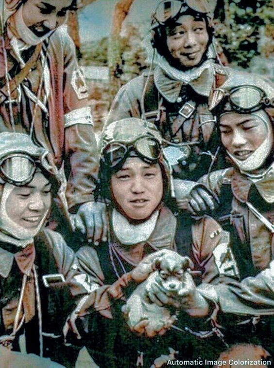 фото из свободных источников интернета