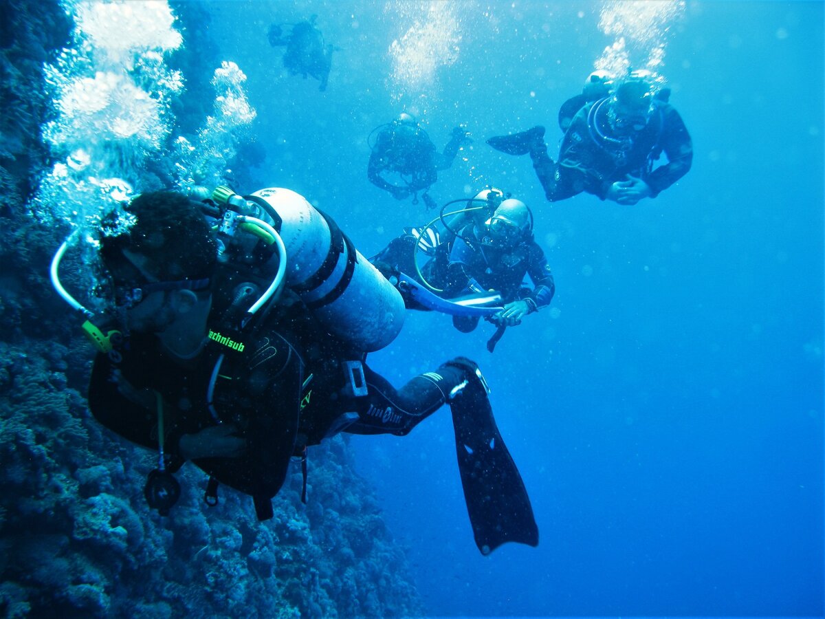 Дайвинг в Красном море