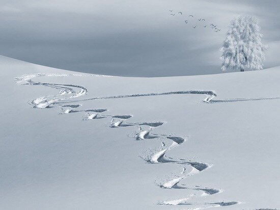     ФОТО: PIXABAY