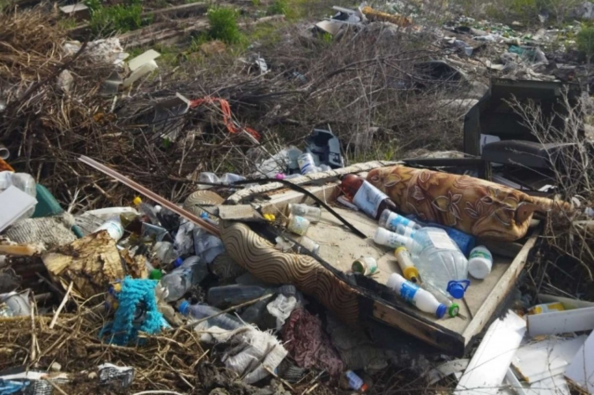    В 2022 году в Самарской области на сельхозземлях ликвидированы 23 свалки