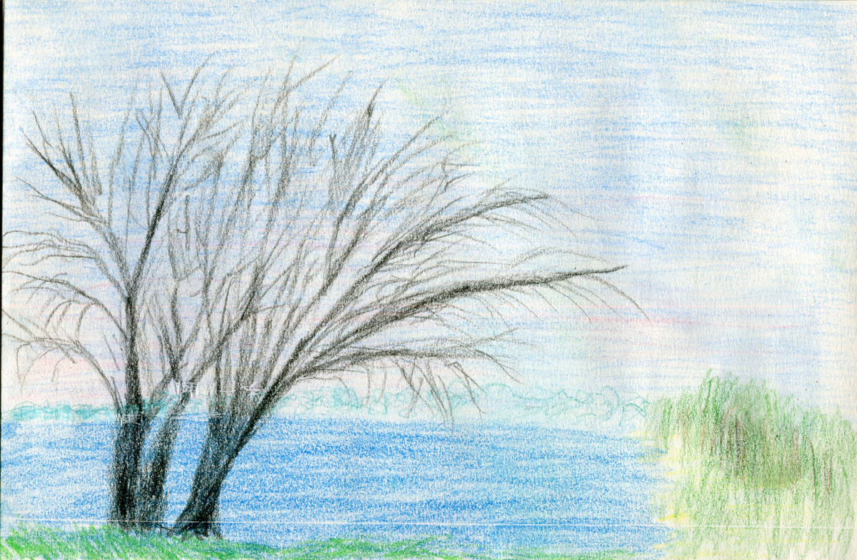 Рисунок автора канала по фото выше.