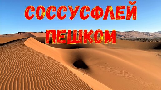 Пешком по дюнам района Соссусфлей, антилопа орикс и дикий фрукт Нара, Намибия, южная Африка