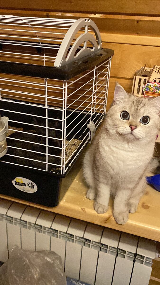 В день "когда я узнала", после минутки истерики начали узнавать близкие. Это словосочитание "все будет хорошо" я услышала столько раз, сколько наверное не слышала за всю прожитую мной жизнь! Сначала вроде было ничего, была немного невминяема, но даже в таком состоянии эта фраза уже к концу дня начала откровенно бесить! Где б**ть хорошо? Еще день назад я жила жизнь, а теперь я борюсь за получение еще кусочка ее!