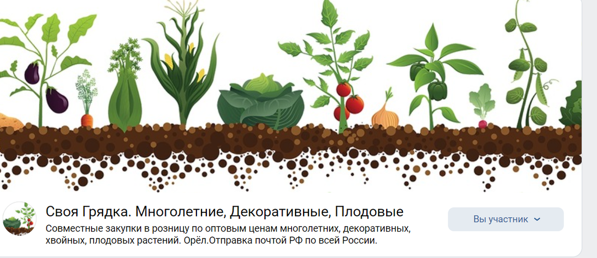 Так выглядит логотип сообщества