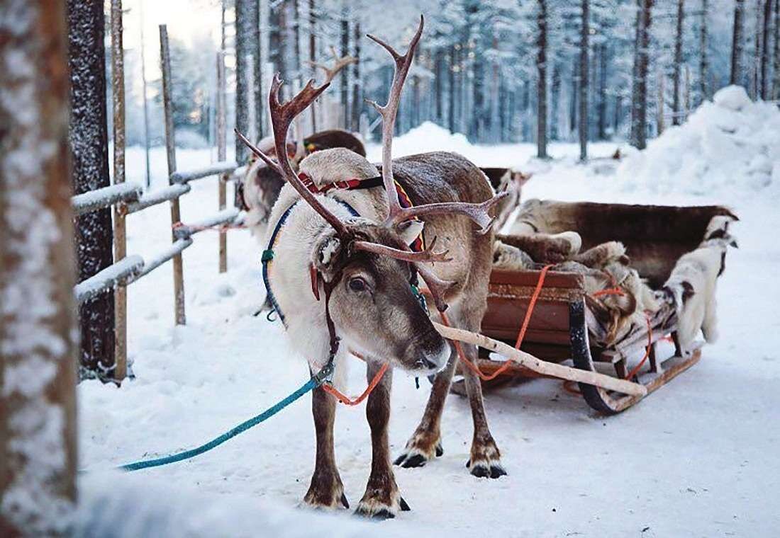 Зимний агротуризм