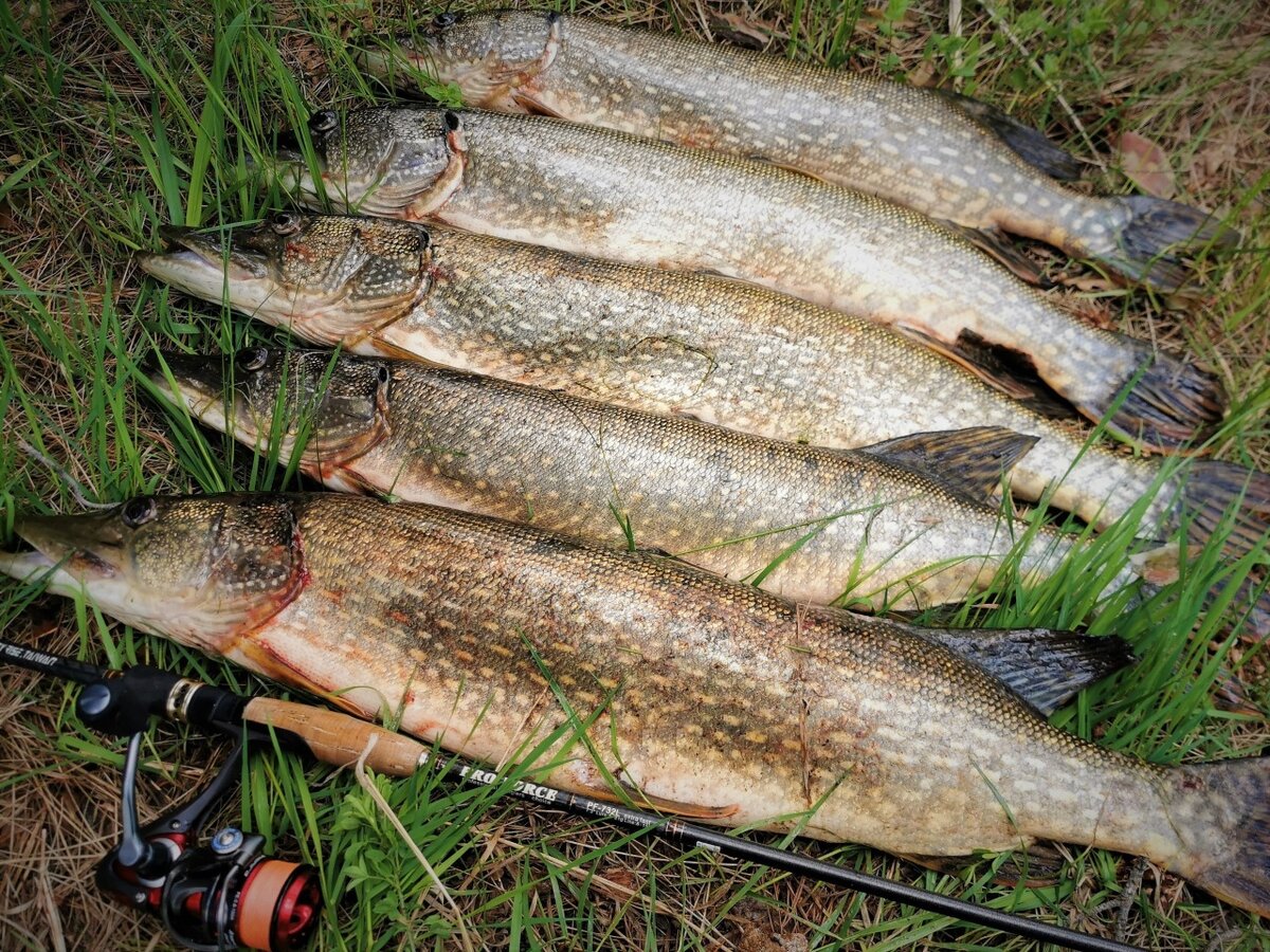 Фотографии не мои!!