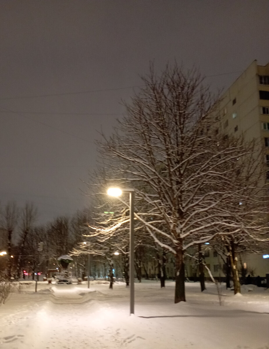 11 декабря 2022 года. Дорога к дому. Фото моё.