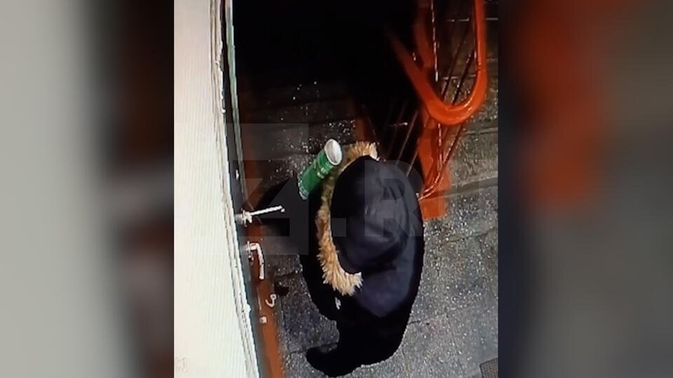 Фото: © Скриншот видео