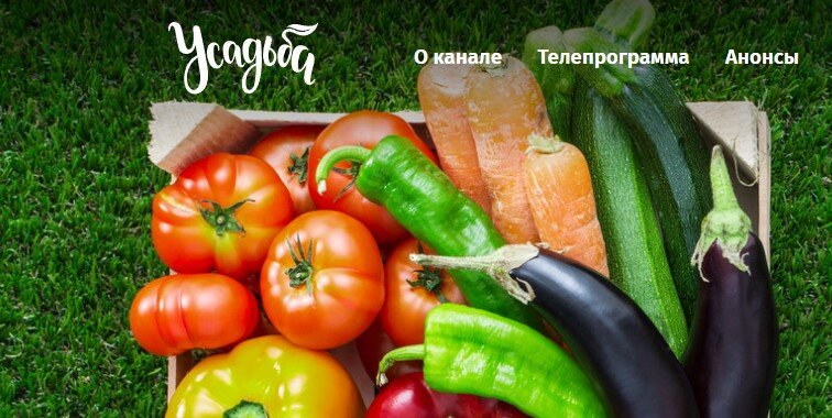 Источник: https://usadba.tv/