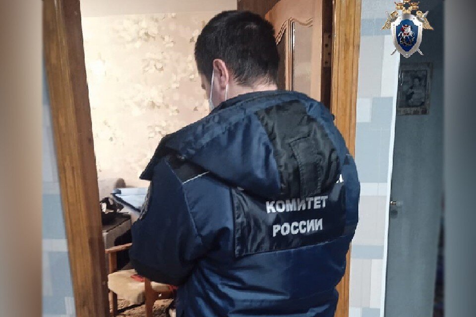     В Выксе 26-летняя девушка искромсала ножом спящего мужа после новости о разводе.  СУ СКР по Нижегородской области